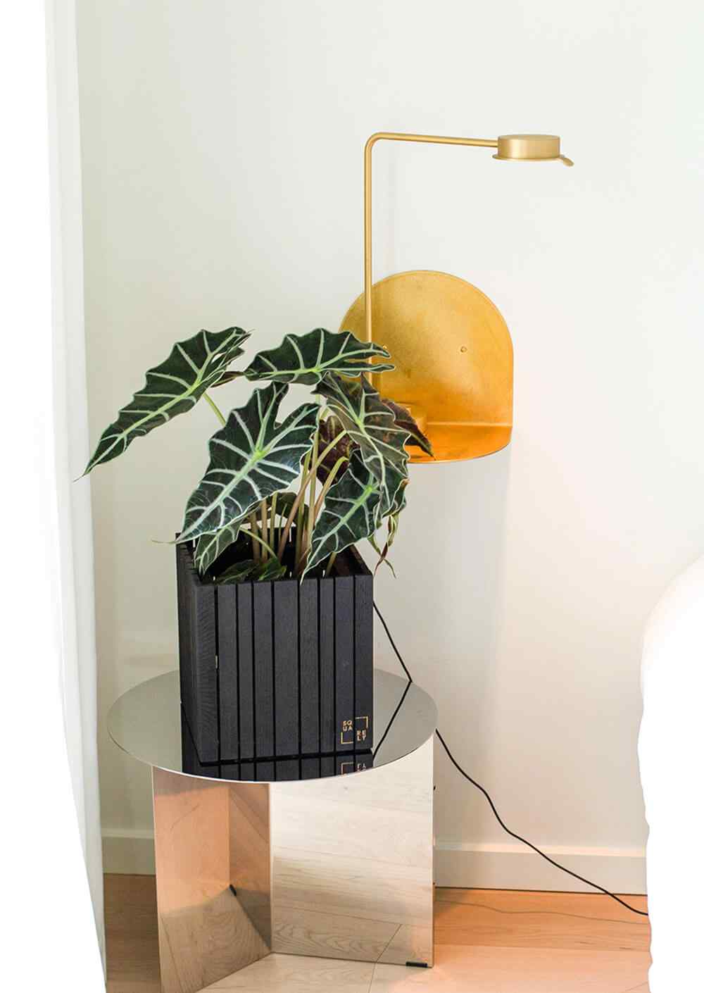 https://www.bronzearrows.com/wp-content/uploads/2019/08/home_03_inner-5.jpg
