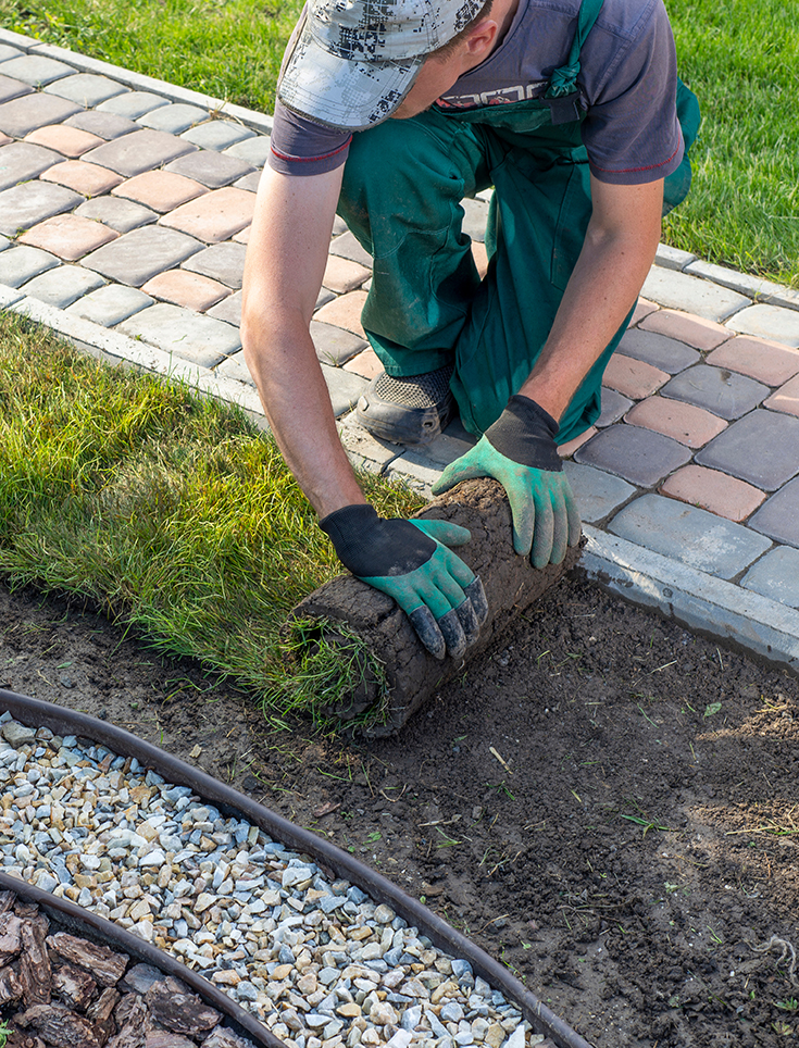 Landscape Gardener Laying Turf For New Lawn